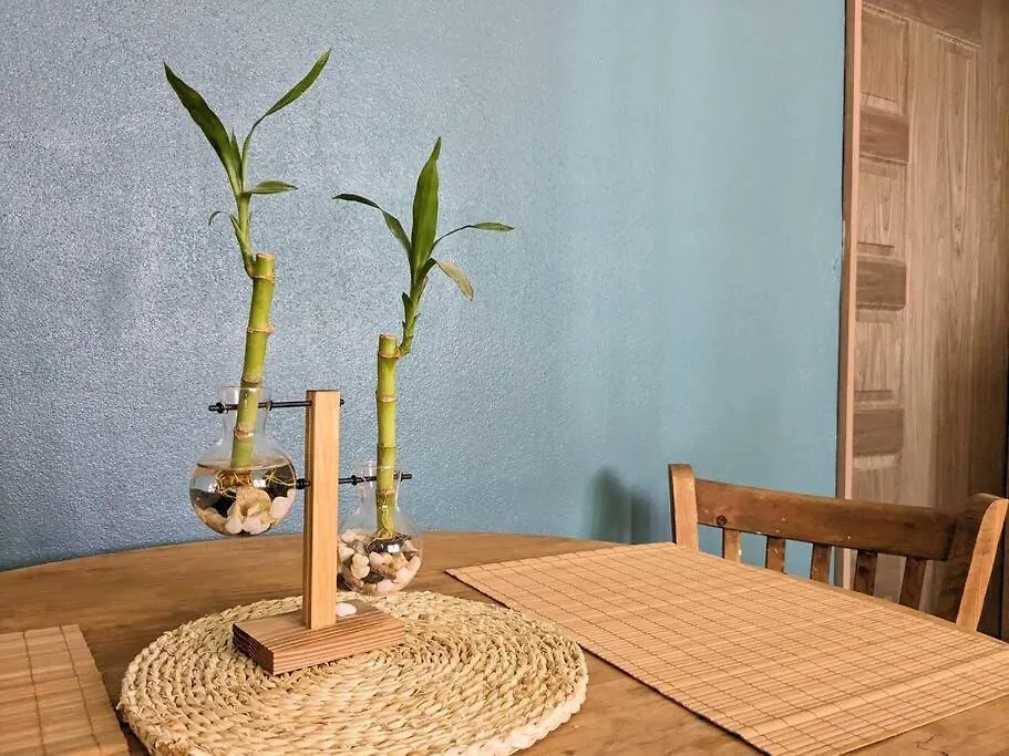 Casita Bambu Cerca Del Aeropuerto Sjd Apartment San Jose del Cabo Mexico